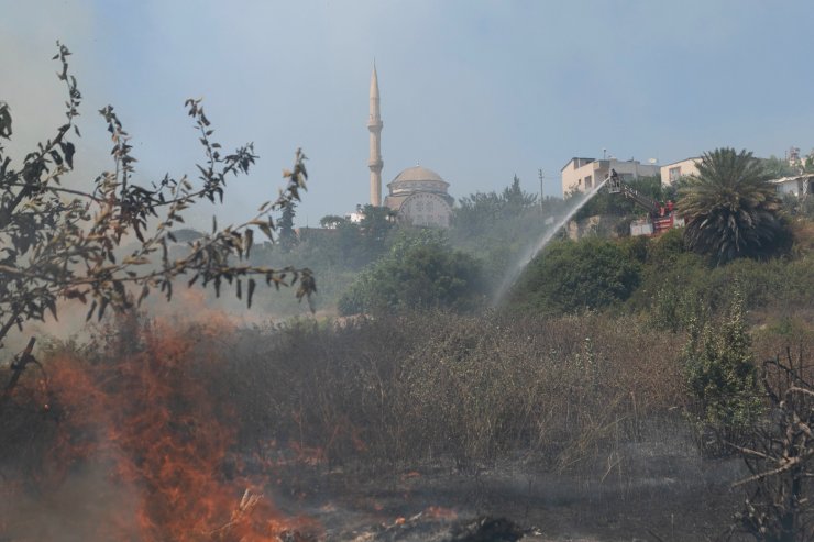 Otluk alanda çıkan yangın söndürüldü