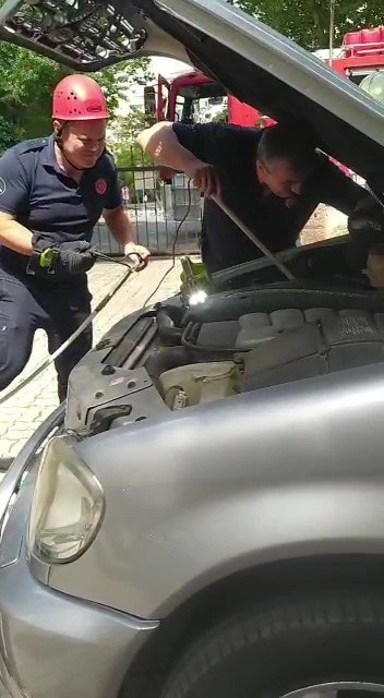 Kartal’da kedi kurtarma operasyonu: Evden kaçtı, araç motoruna sıkıştı