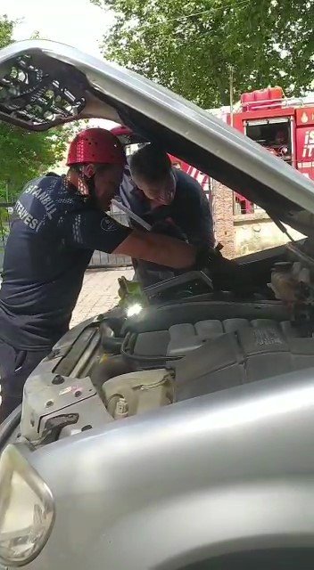 Kartal’da kedi kurtarma operasyonu: Evden kaçtı, araç motoruna sıkıştı