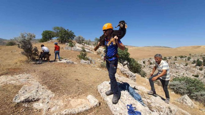 Kayalıklarda 5 gün mahsur kalan 2 keçi AFAD ekipleri tarafından kurtarıldı