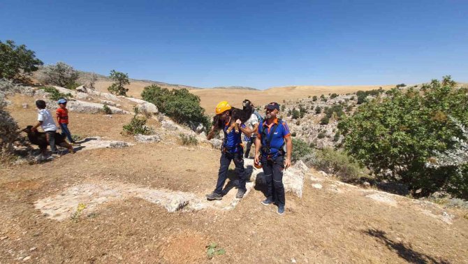 Kayalıklarda 5 gün mahsur kalan 2 keçi AFAD ekipleri tarafından kurtarıldı