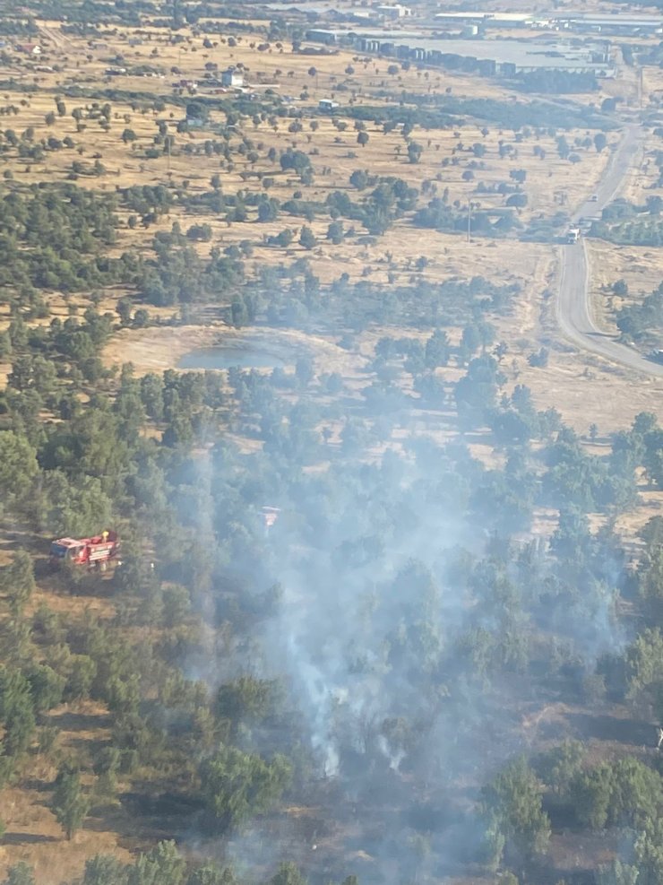 Manisa’daki orman yangınında 1 dönüm alan zarar gördü