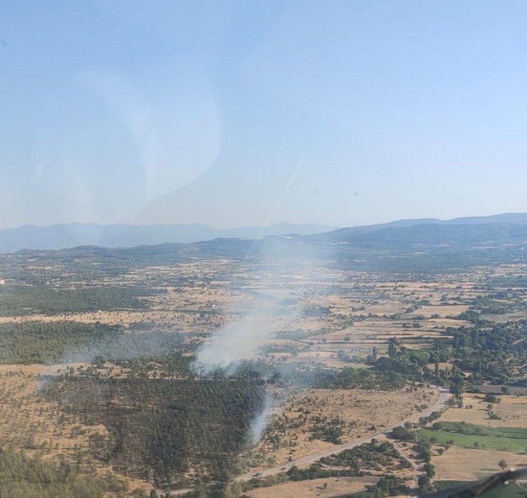 Manisa’daki orman yangınında 1 dönüm alan zarar gördü