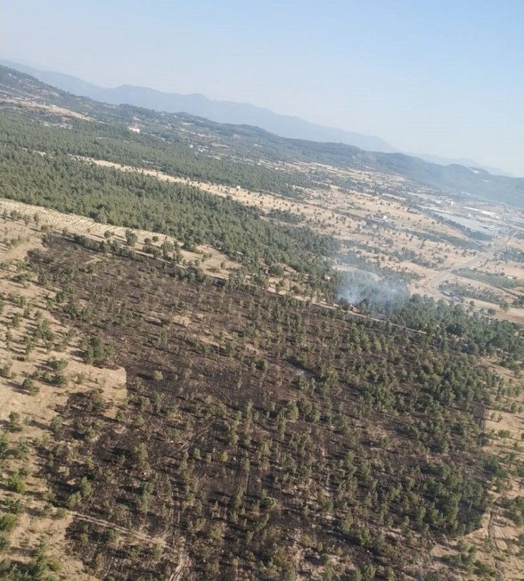 Manisa’daki orman yangınında 1 dönüm alan zarar gördü