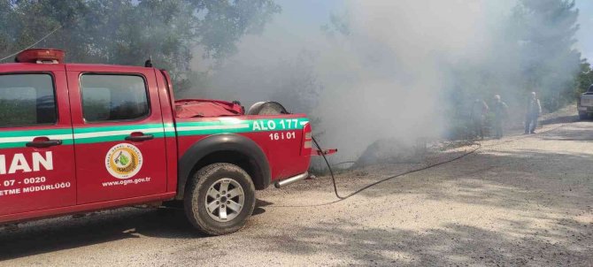Ormancıların zamanında müdahalesi yangının büyümesini önledi