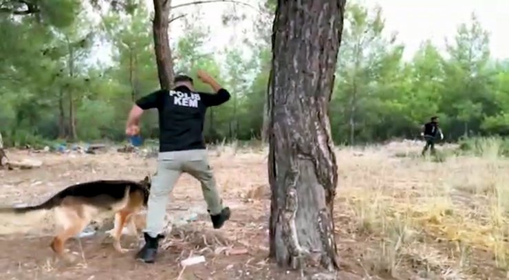 Ormandaki mağaralara uyuşturucu gizleyen 3 şüpheli operasyonla yakalandı