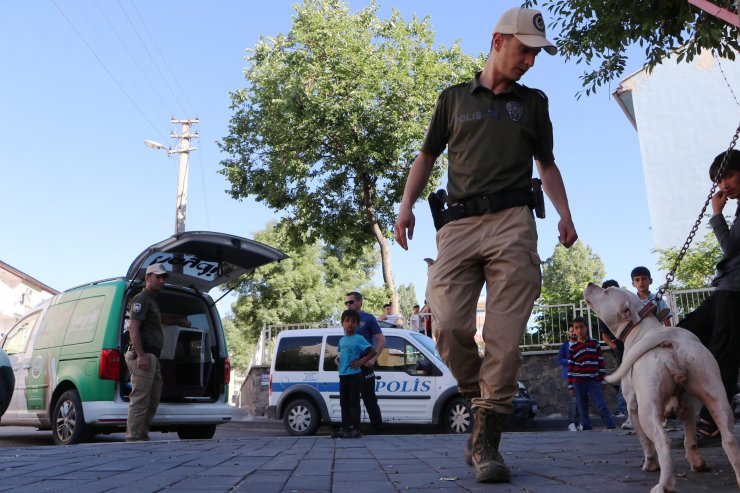 Sokağa bırakılan Pitbull cinsi köpeği evine götürürken polise yakalandı
