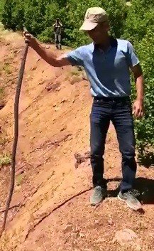 Bulduğu yılanı önce sevdi, sonra doğaya bıraktı