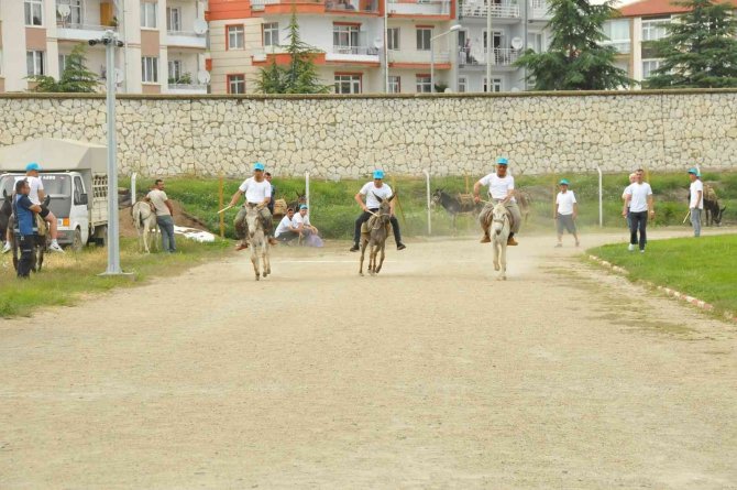 Eşekler birincilik için yarıştı