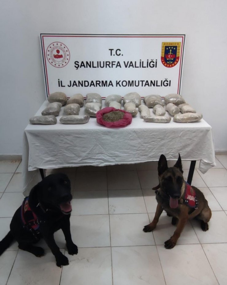 Şanlıurfa'da, toprağa gömülü 11 kilo uyuşturucu ele geçirildi