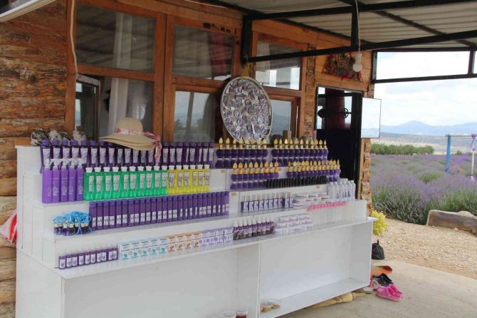 Lavanta Kokulu Köy’de sezon devam ediyor