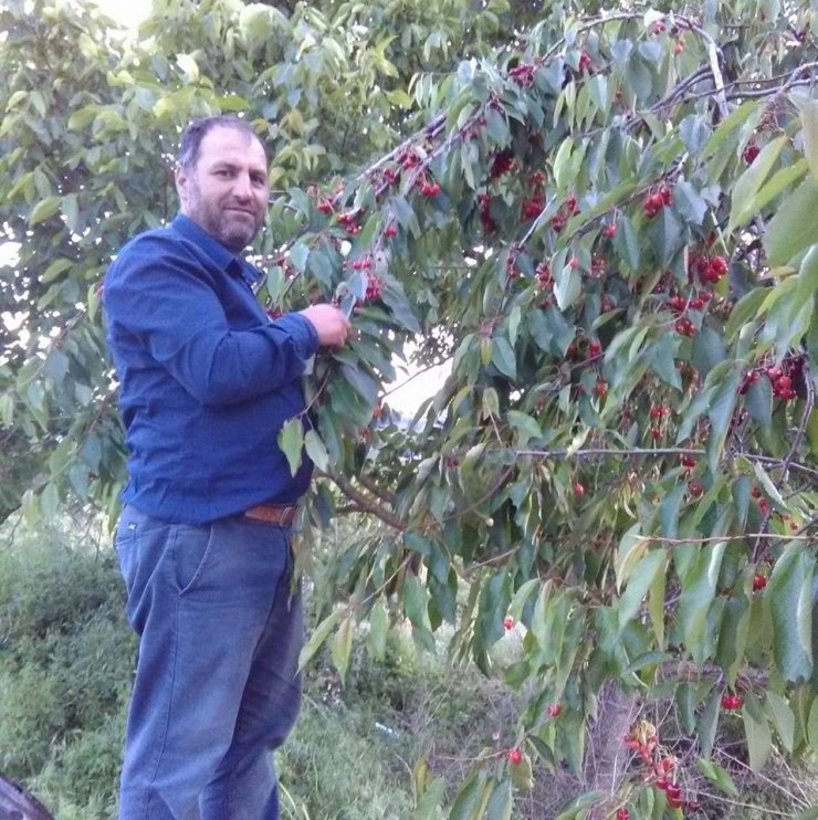 'Tarlamı bedelsiz ekip biçtin' cinayeti sanığına 36 yıl hapis cezası