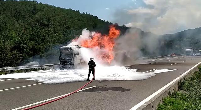 TIR, alev alev yandı