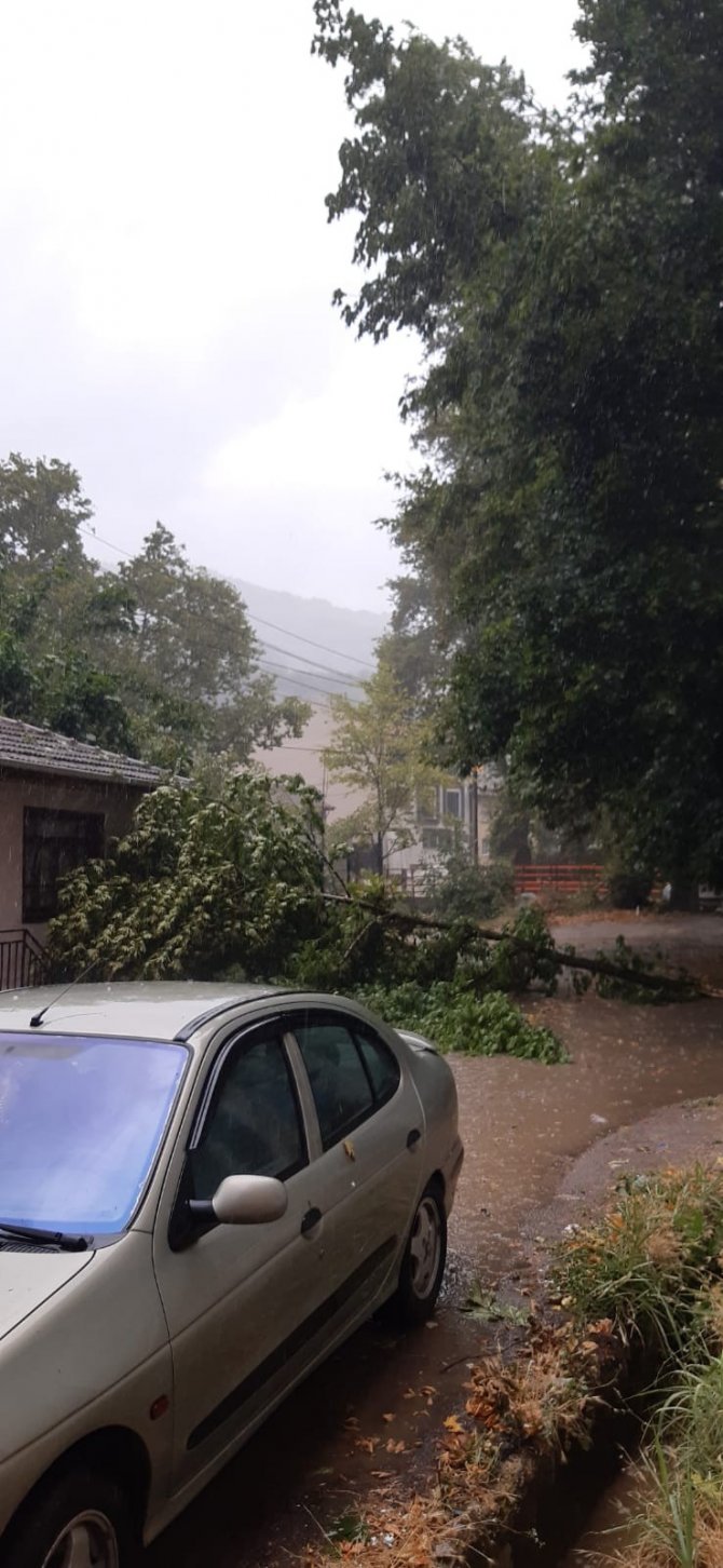 Bayramın birinci günü sağanak sele sebep oldu