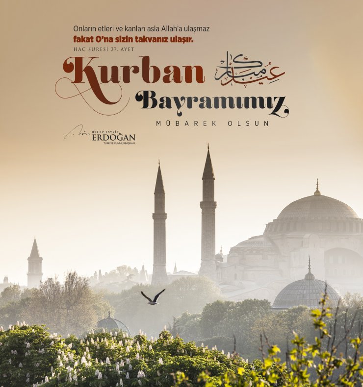 Cumhurbaşkanı Erdoğan: Kurbanlarımızın kurtuluşa vesile olmasını diliyorum