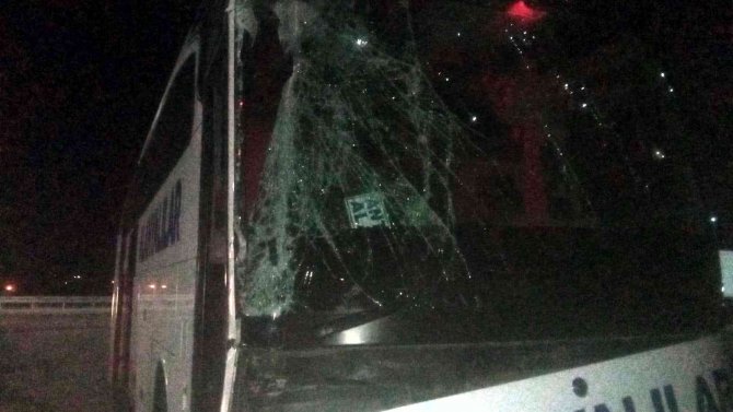 D-650’de yolcu otobüsü ile kargo kamyonu çarpıştı: 2 yaralı