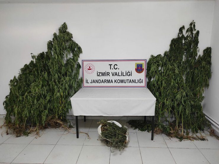 İzmir'deki uyuşturucu operasyonlarında 1 tutuklama