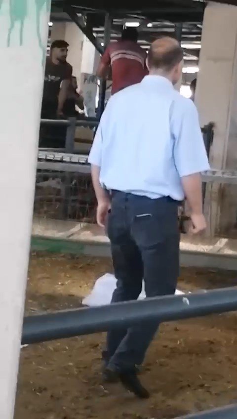 Kavgada kurban pazarı savaş alanına döndü