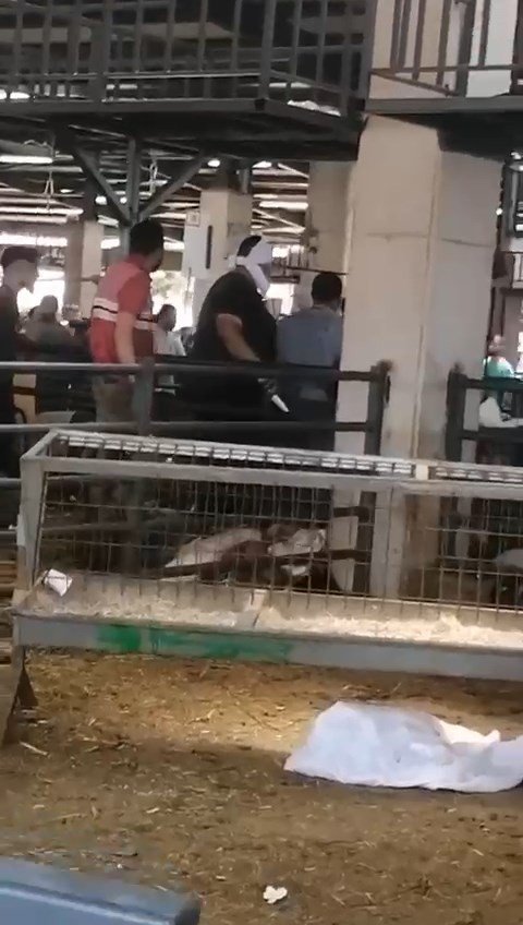 Kavgada kurban pazarı savaş alanına döndü