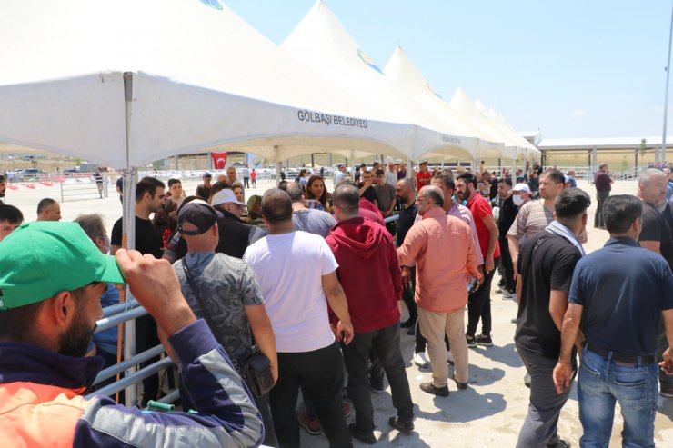 Kesim sırasında kaçan boğa, kalabalığın arasına koştu