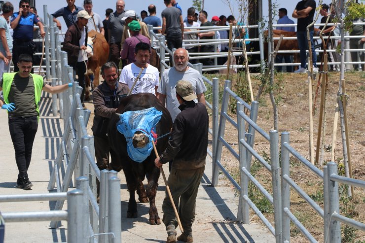 Kesim sırasında kaçan boğa, kalabalığın arasına koştu