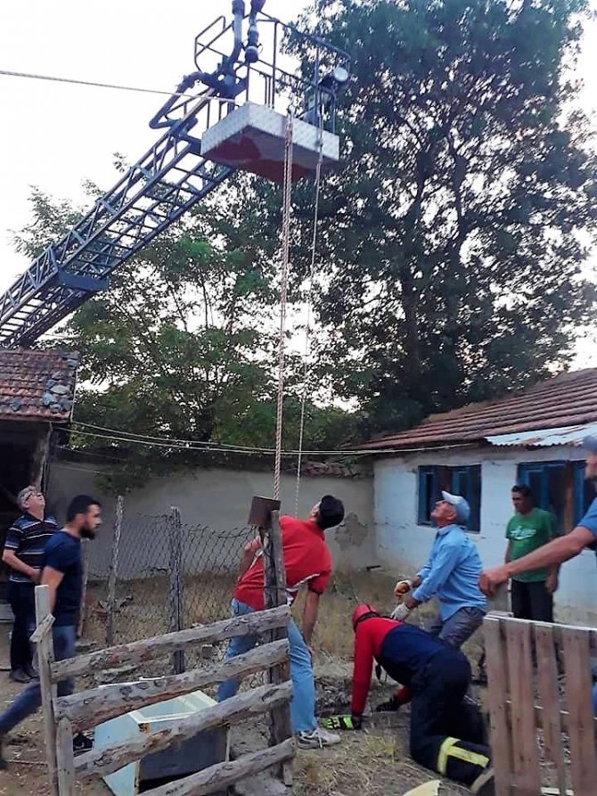 Kuyuya düşen kurbanlık inek kurtarıldı
