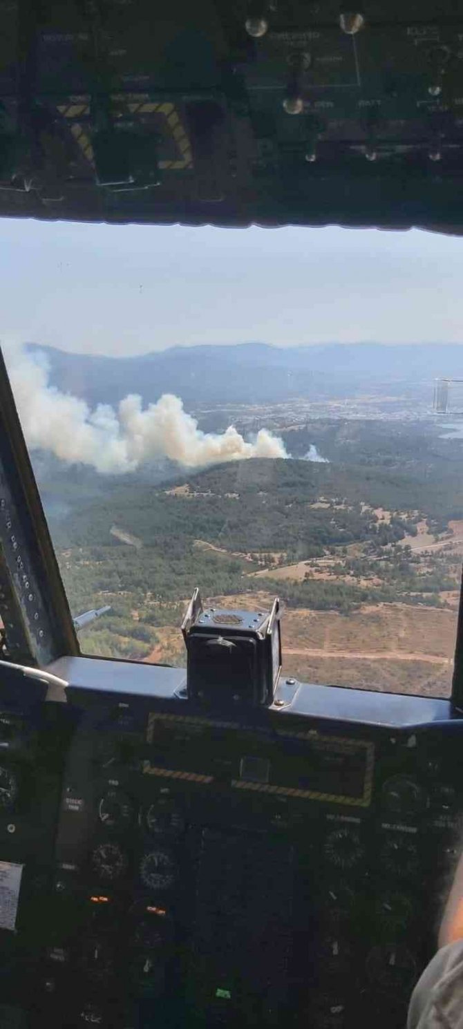 Orman yangını kontrol altına alındı