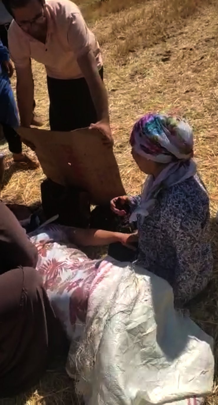 Tarlaya uçan otomobildeki 7 kişi yaralandı