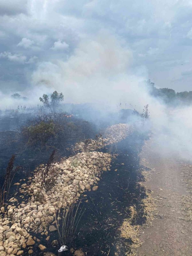 Yol kenarındaki otluk alanda yangın çıktı