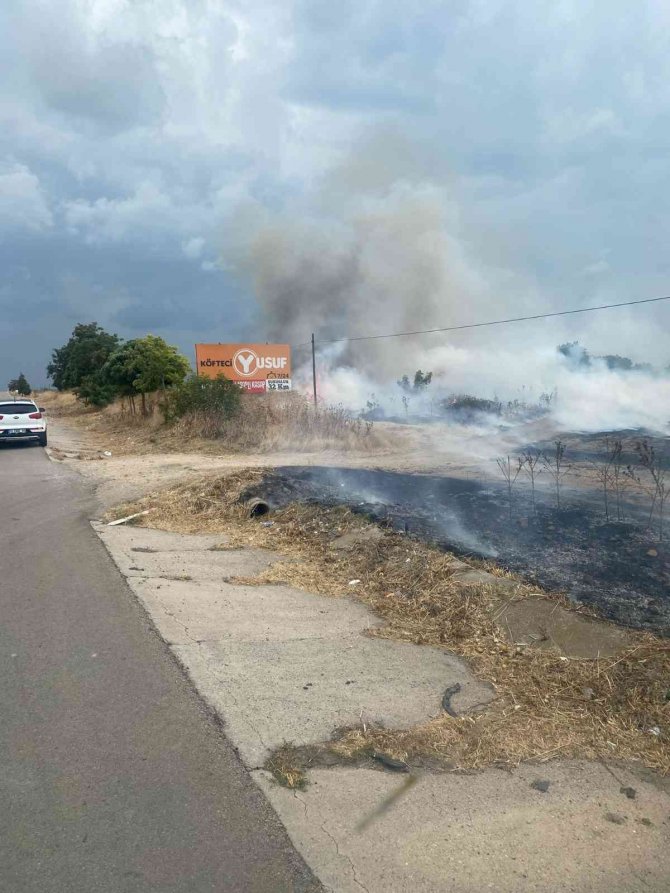 Yol kenarındaki otluk alanda yangın çıktı