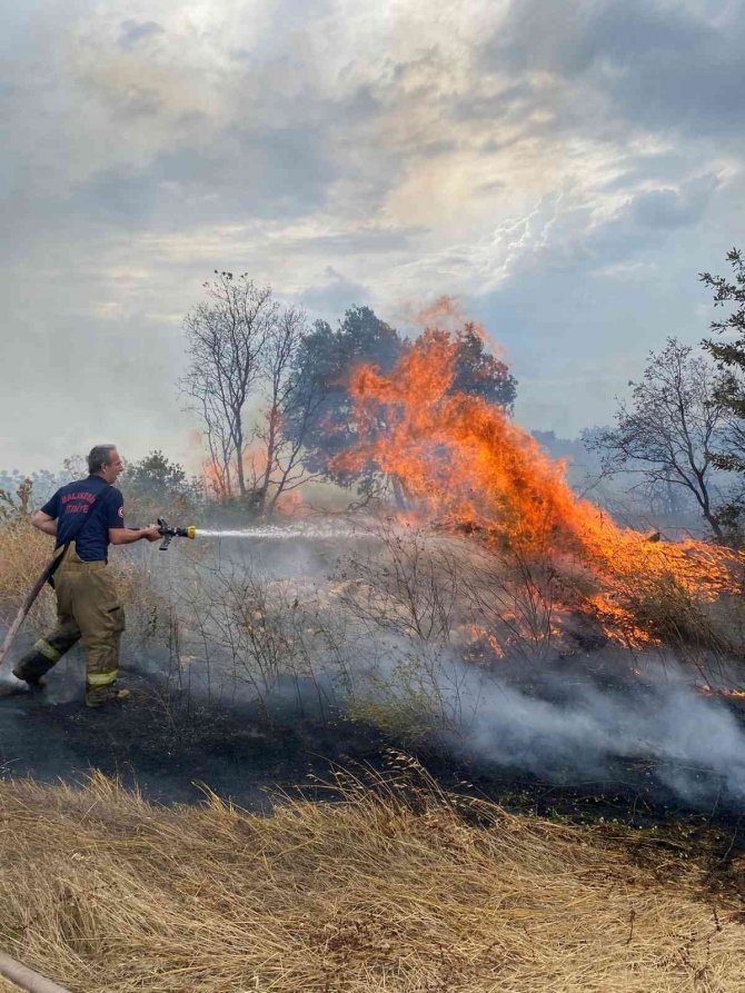 Yol kenarındaki otluk alanda yangın çıktı