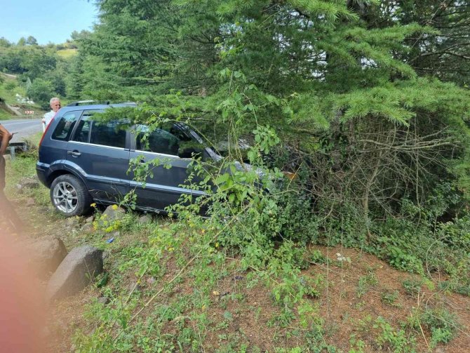 Yoldan çıkan otomobil ağaca çarpttı: 2’si çocuk 7 yaralı
