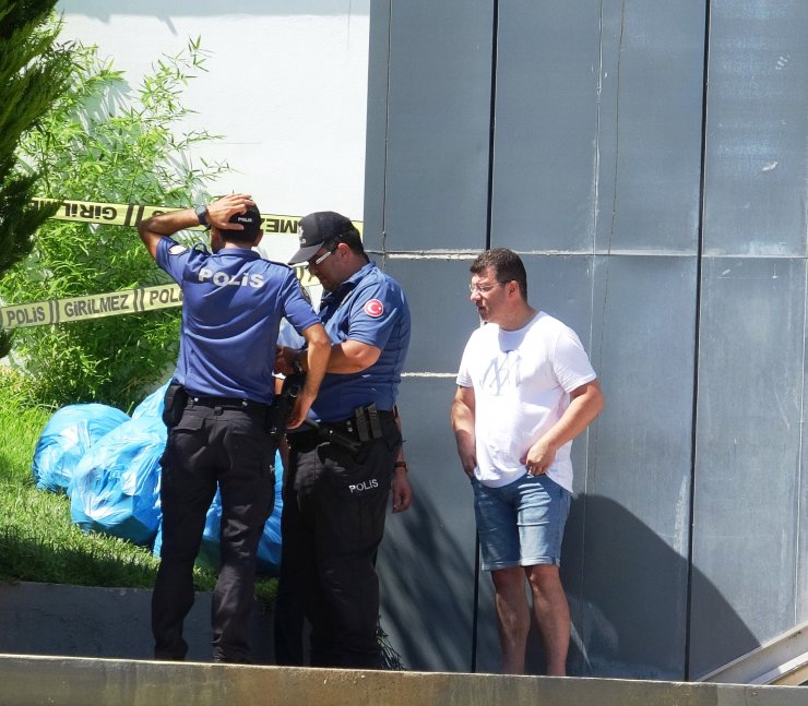 Dalgıcın eline vurup, düşürdüğü telefonu alarak kaçtı