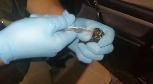 Dedektör köpeği ‘Alex’ uyuşturucu tacirlerine geçit vermedi: 5 gözaltı