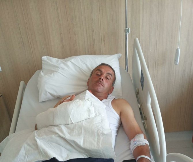 Kaçan kurbanlığı yakalamaya çalıştı, parmağı koptu