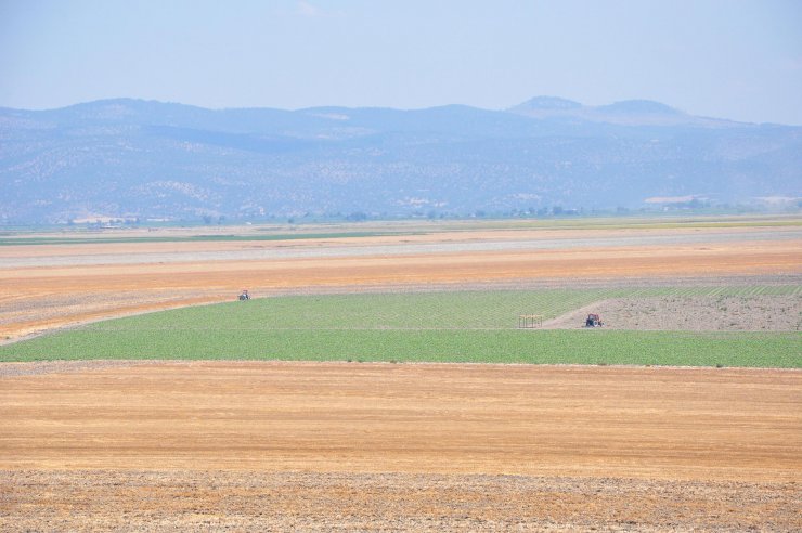 Kuruyan 'Marmara Gölü üzerinde arazi savaşları başladı'