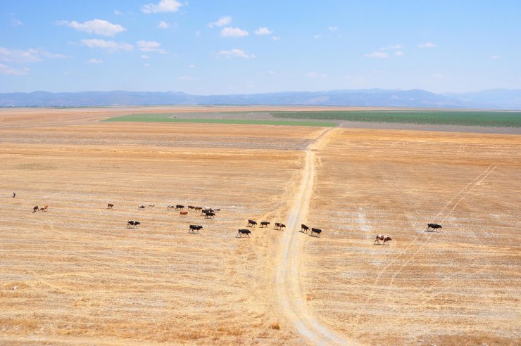 Kuruyan 'Marmara Gölü üzerinde arazi savaşları başladı'