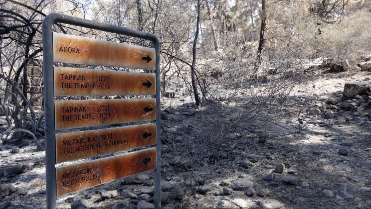 Seleukeia Antik Kenti'nde büyük yangının izleri silindi