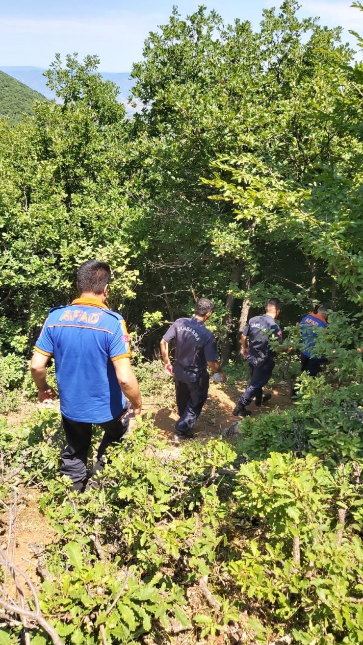 Sürü bulundu, Afgan çobana ulaşılamadı