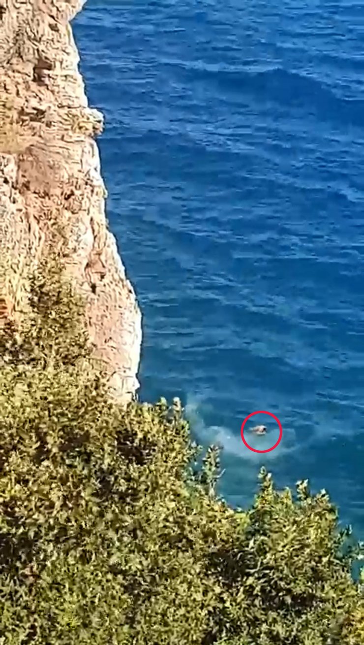 40 metre yükseklikten denize ters düşünce bilinç kaybı yaşadı