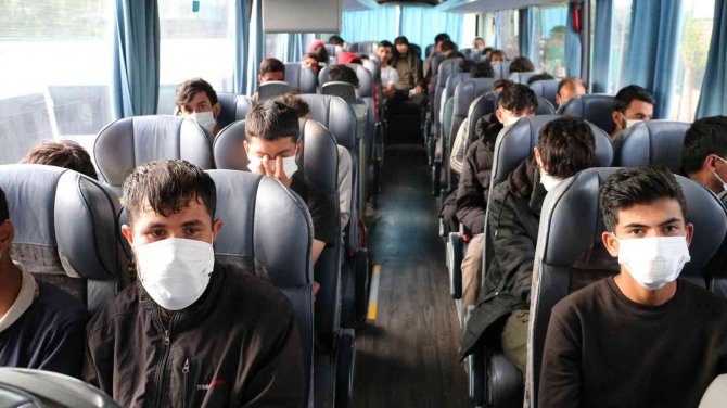 Edirne’de yakalanan 260 göçmen sınır dışı edilmek üzere İstanbul’a gönderildi