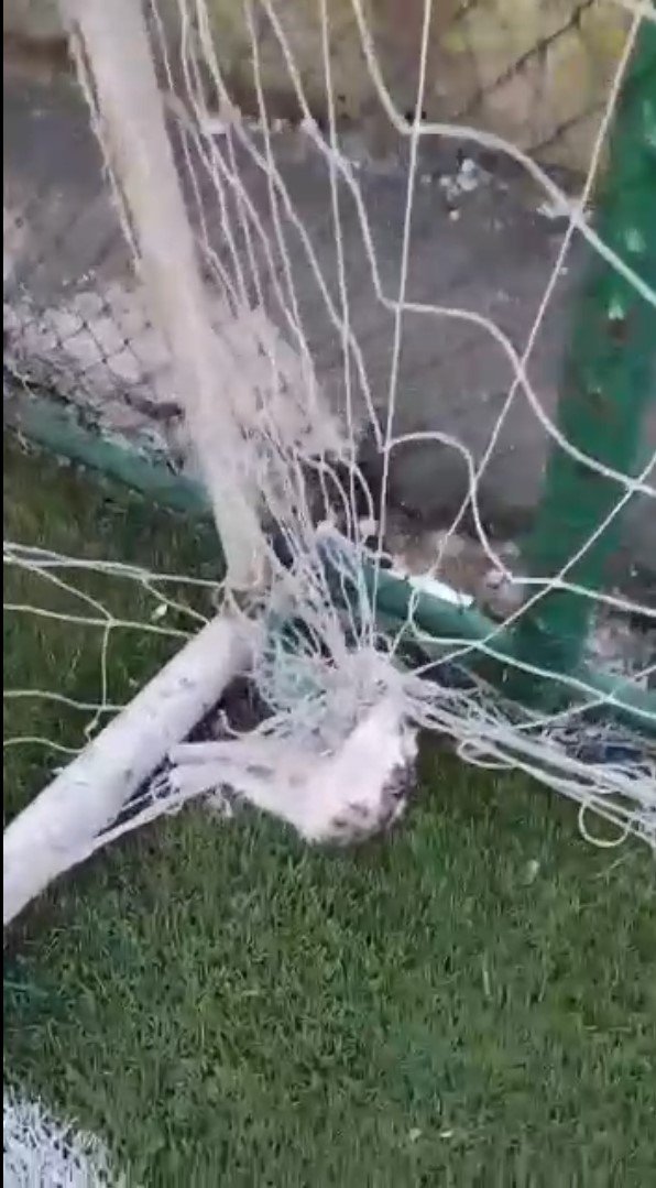 Halı sahanın kale filesine bağlı 2 kedi ölüsü bulundu