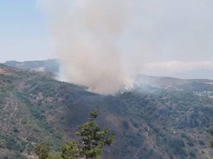 Hatay’da makilikte yangın