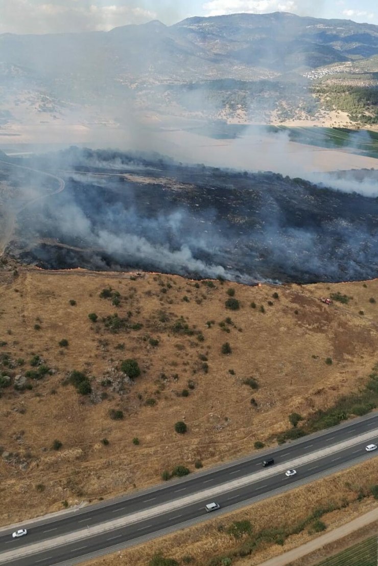 İzmir'deki yangında 10 hektar makilik zarar gördü