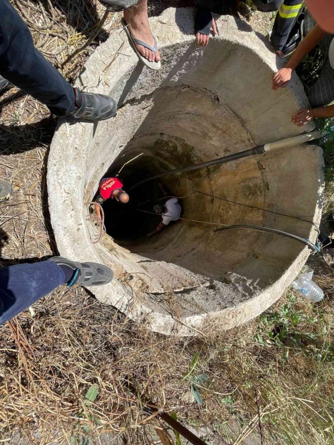 Kuyuya düşen porsuk kurtarıldı