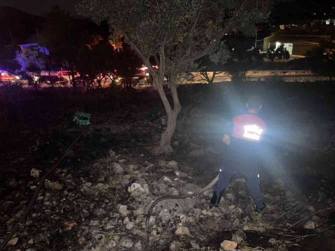 Sigara izmariti zeytinlik alanı yaktı