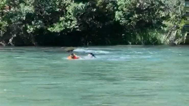 Munzur Çayı'nda akıntıyla sürüklenirken itfaiye kurtardı
