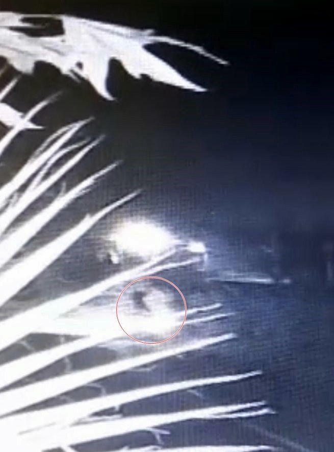 Otomobilin çarptığı bisiklet sürücüsü yaşamını yitirdi