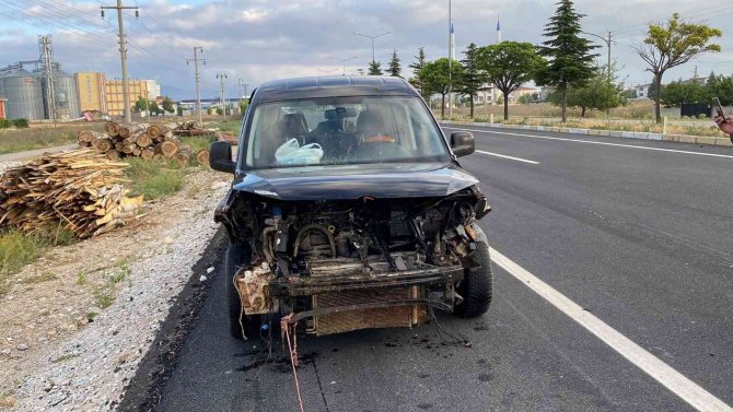 Otomobilin çarptığı hamile koyunun karnındaki kuzu dışarı fırladı