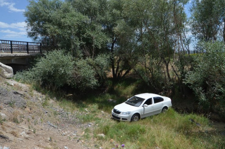 Sürücüsünü arı sokan otomobil şarampole düştü: 4 yaralı